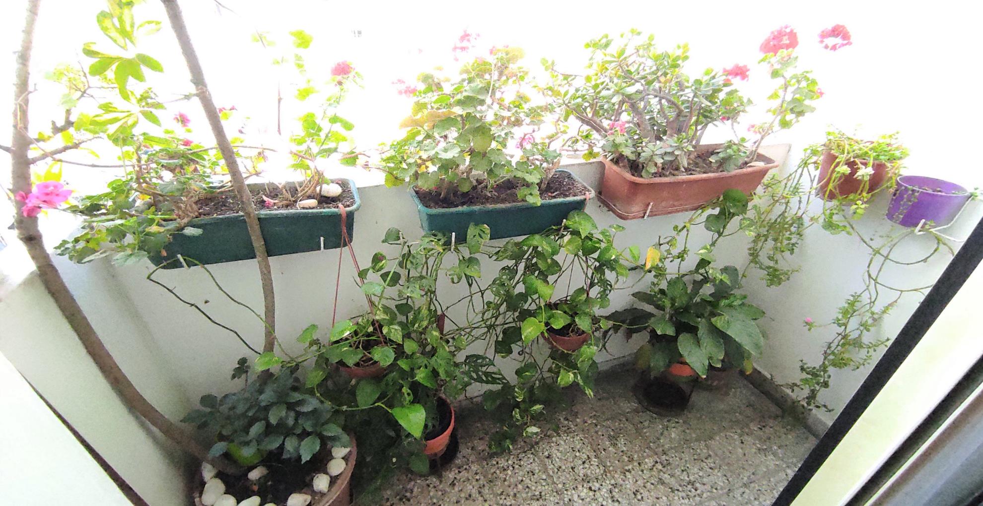Departamento de 4 ambientes en Venta en Villa crespo