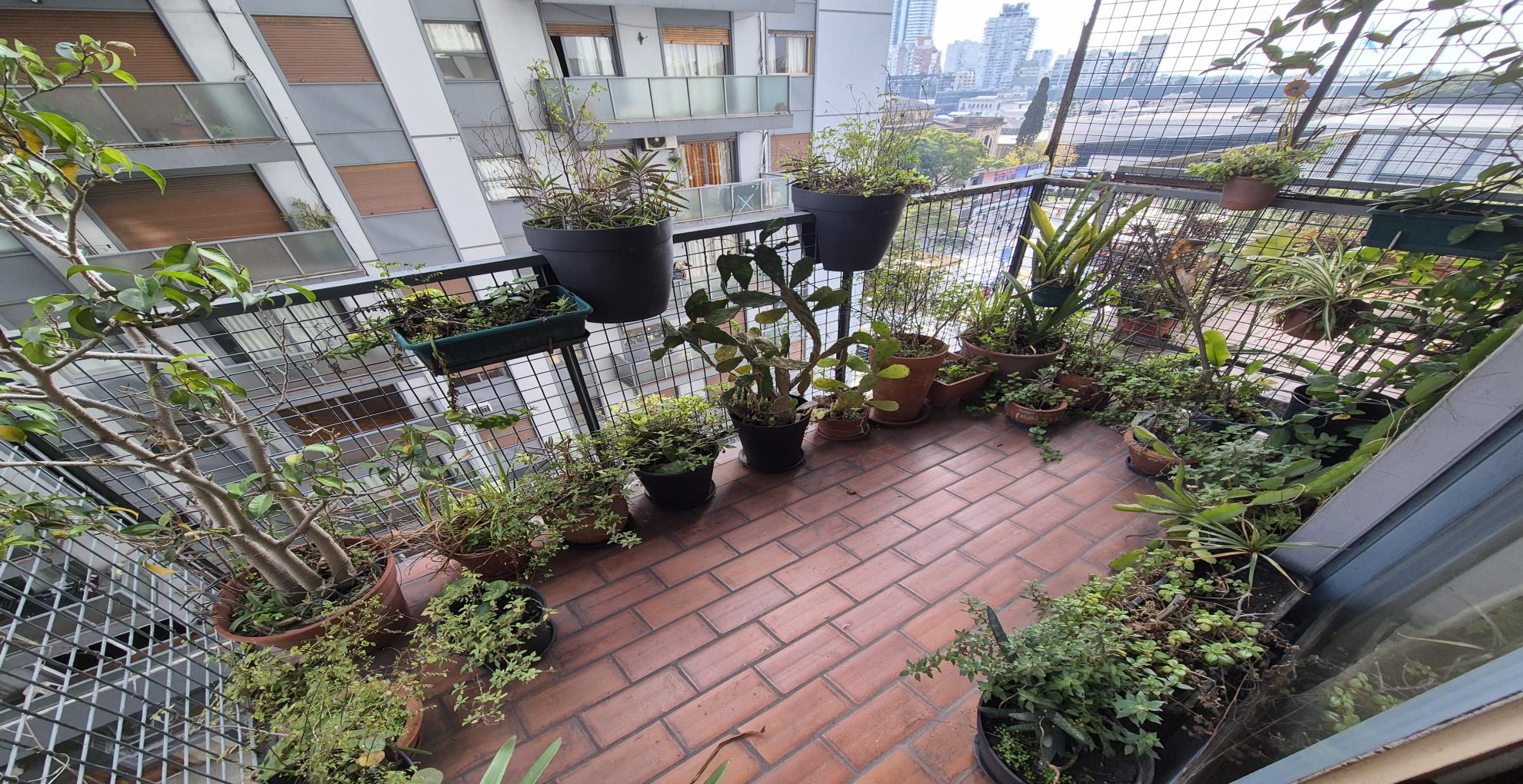 Departamento de 2 ambientes en  Venta en Palermo. THAMES al 2400. Imagen 1