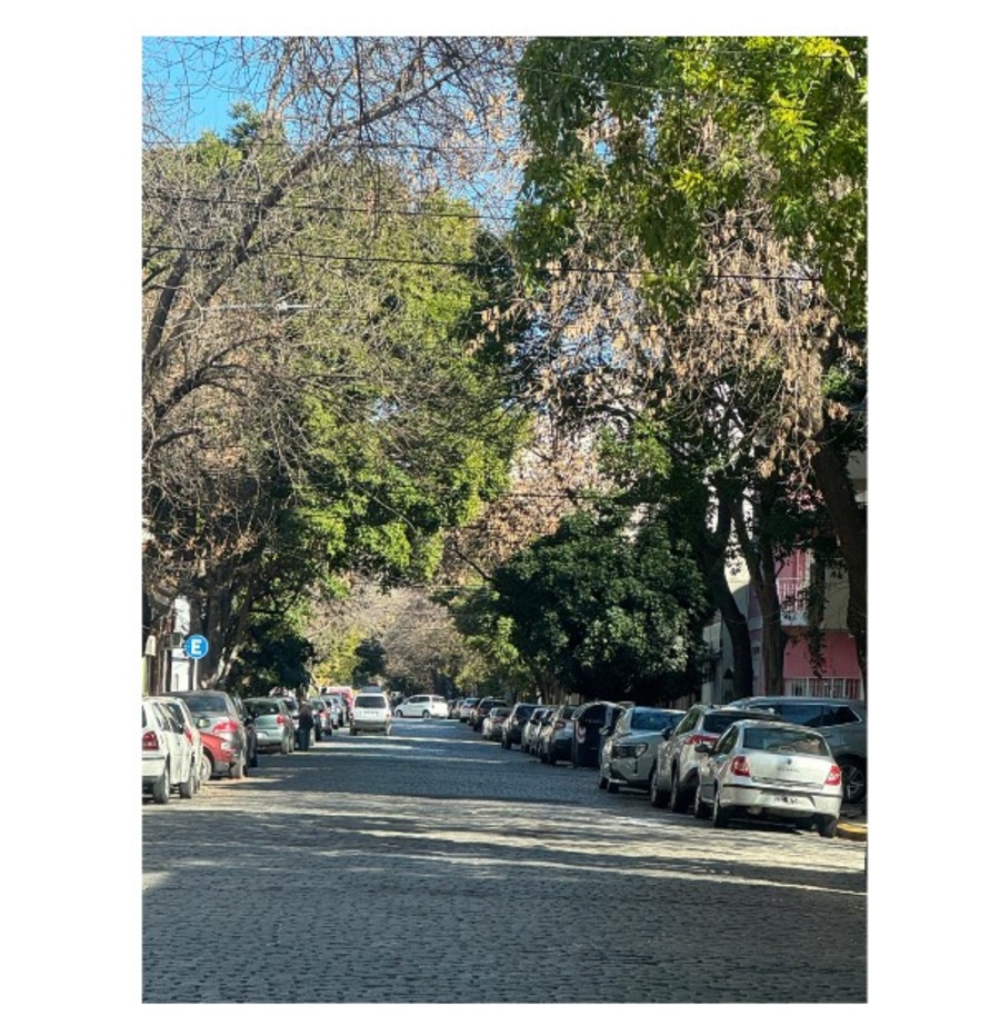 Departamento de 1 ambiente en Venta en Caballito