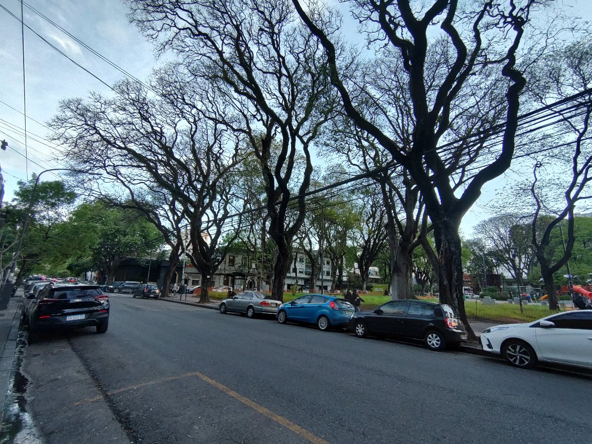 Departamento de 1 ambiente en Alquiler en Villa crespo