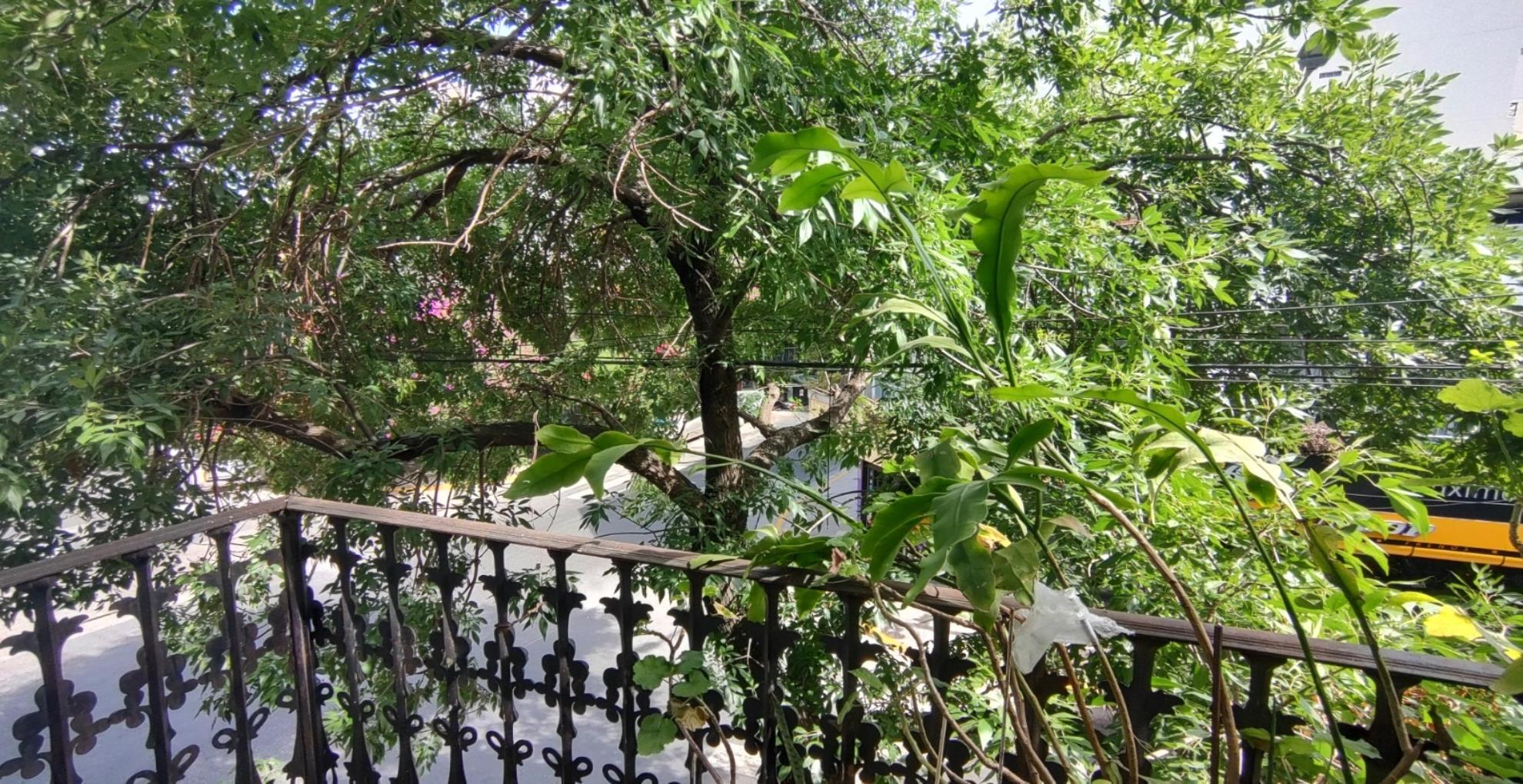 Depto.tipo casa de 6 ambientes en Venta en Almagro