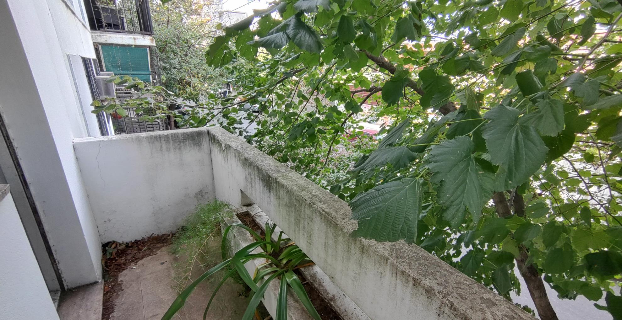 Depto.tipo casa de 3 ambientes en  Venta en Caballito. RIO DE JANEIRO al 900. Imagen 1